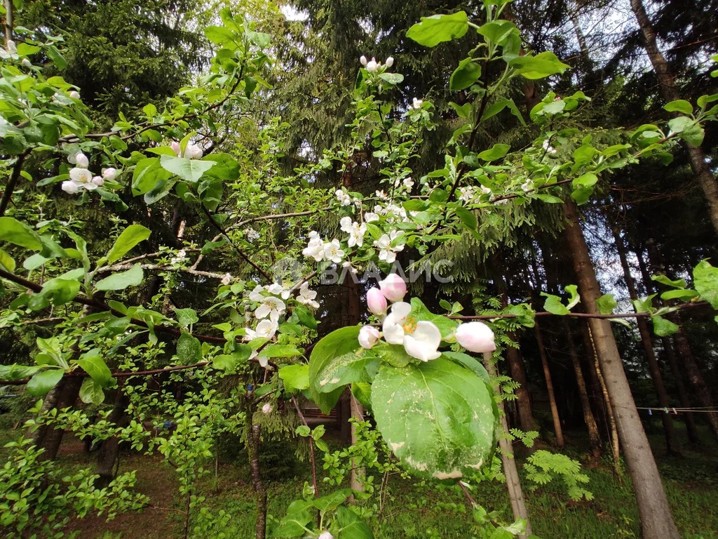 Наро-Фоминский городской округ, деревня Новоглаголево, 1-я Южная ... - Фото 1