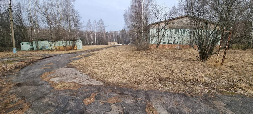 База отдыха "Лесные дали" - Фото 7