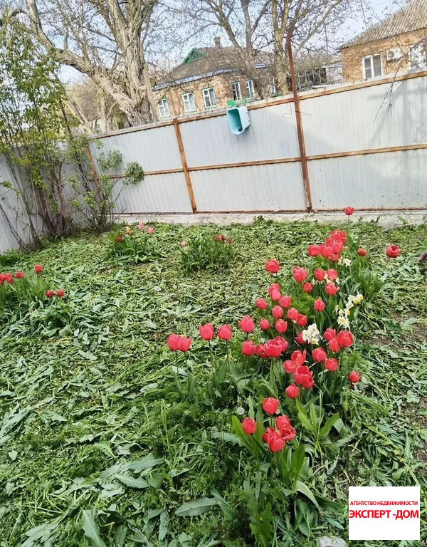 Продажа дома, Весело-Вознесенка, Неклиновский район - Фото 19
