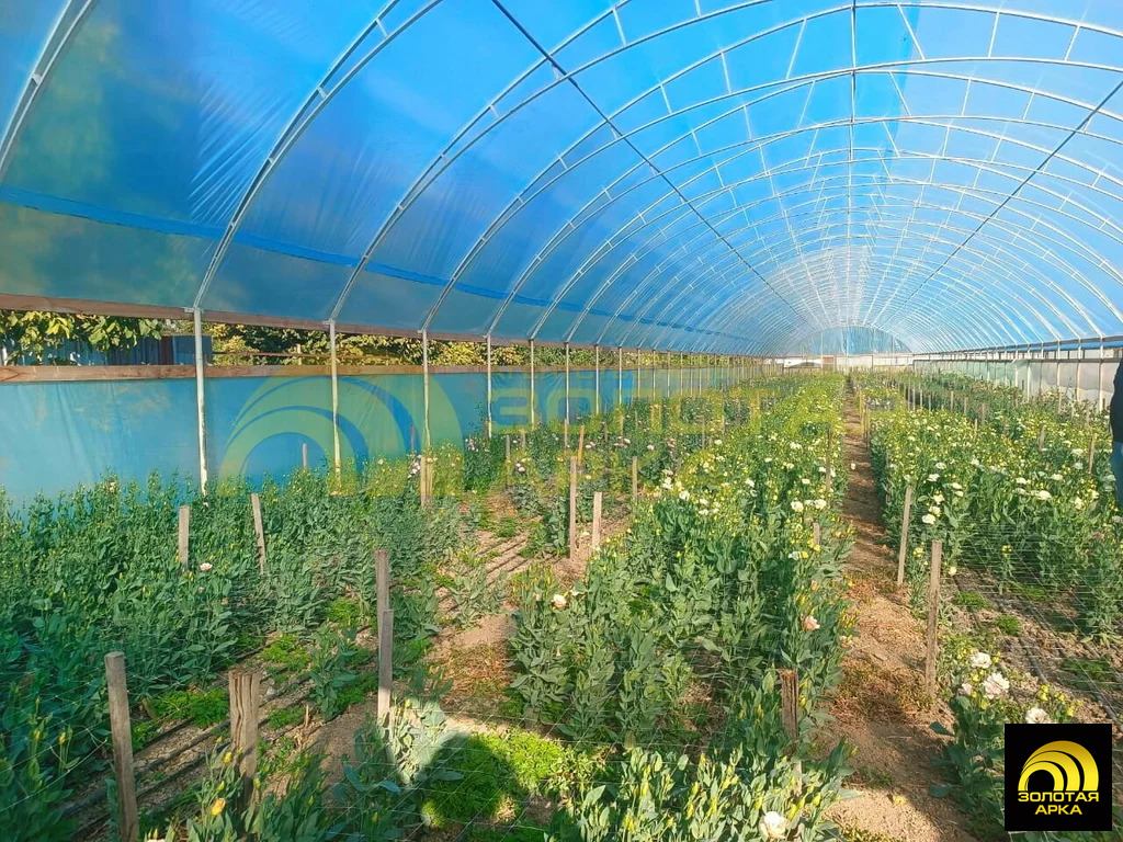 Продажа готового бизнеса, Краснооктябрьский, Абинский район, ул. ... - Фото 6