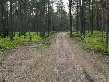 ППА ЗУ на 1й береговой линии Финского залива - Фото 1