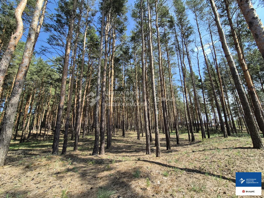 Продажа участка, Рязанский район - Фото 2