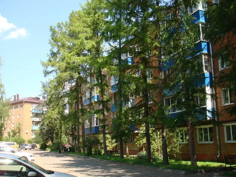 Трехкомнатная квартира - Фото 2