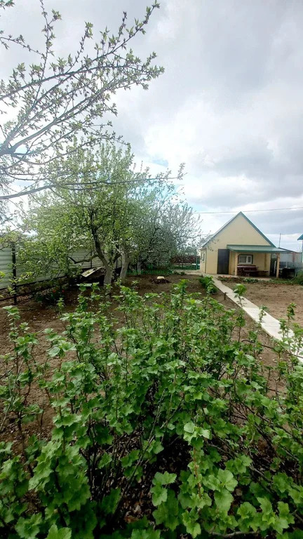Продажа дома, Балаковский район, ТСН имени Мичурина тер. - Фото 6