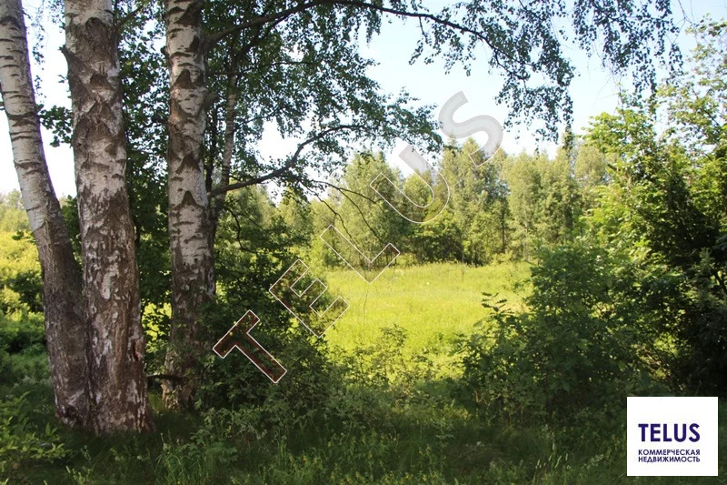 МО, Богородский г.о., с. Богослово, Земельный участок 7 га (ном. ... - Фото 11
