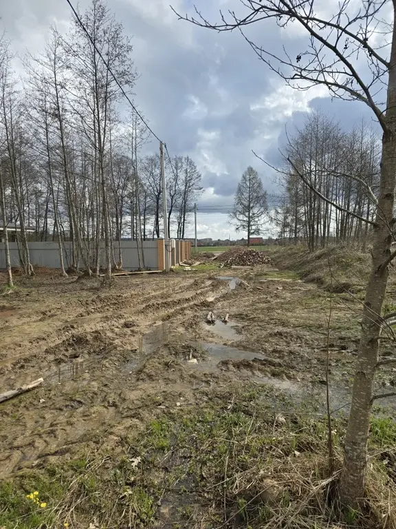 Продаю участок 10 соток в пос. Гарь-Покровское - Фото 13