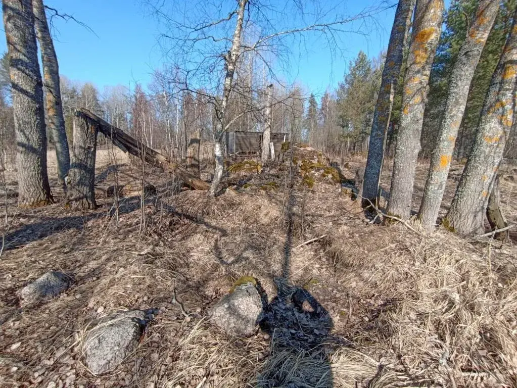 Участок в 100 м от озера Губановское - Фото 9