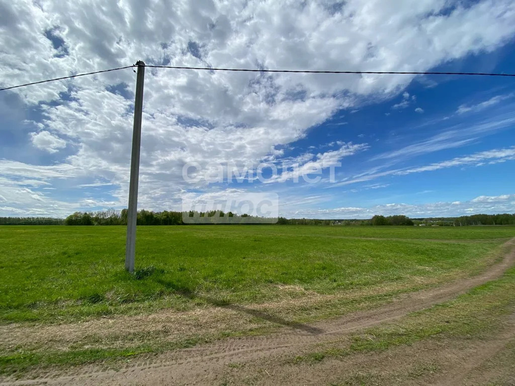 Продажа участка, Струково, Ленинский район, Струково д. - Фото 4
