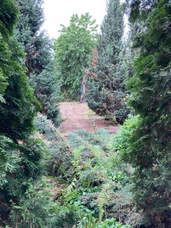 Продажа дома, Георгиевск, Газовая ул. - Фото 10