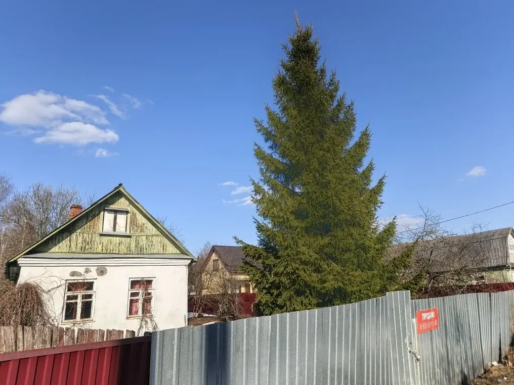 Продаю дачу в с. Покровское - Фото 11