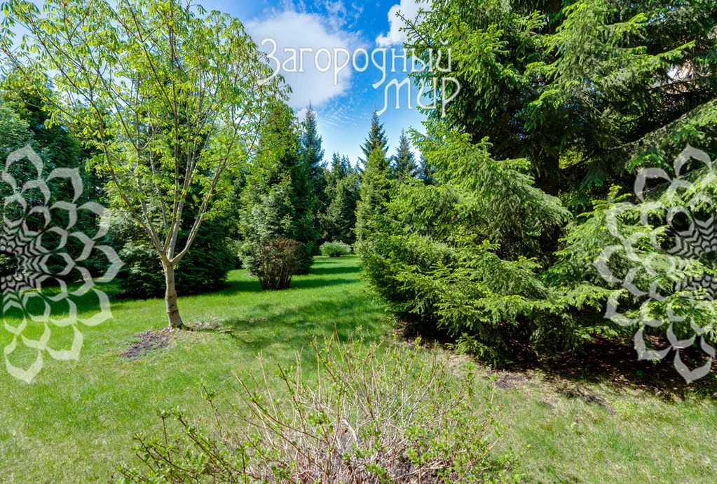 Продам дом, Можайское шоссе, 37 км от МКАД - Фото 35