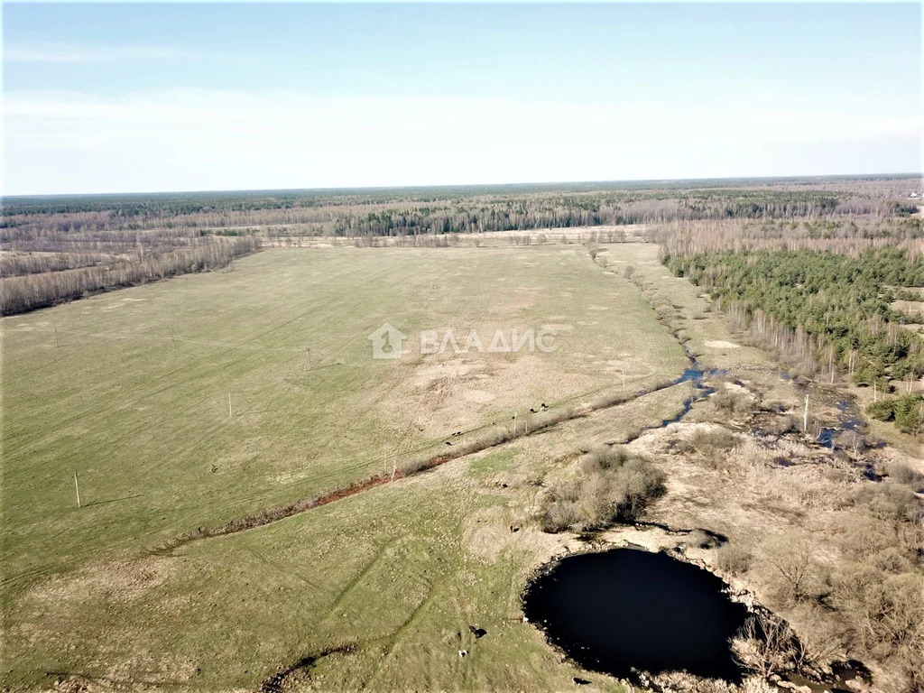 Производственное на продажу, Судогодский район, деревня Каменец - Фото 34