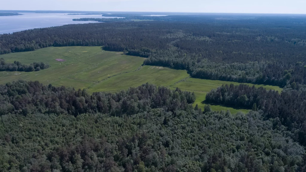 Продажа участка, Цветково, Приозерский район - Фото 20