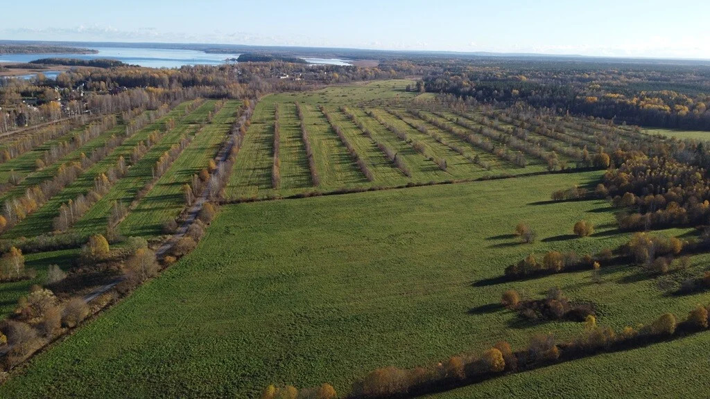 Продажа участка, Барышево, Выборгский район - Фото 3