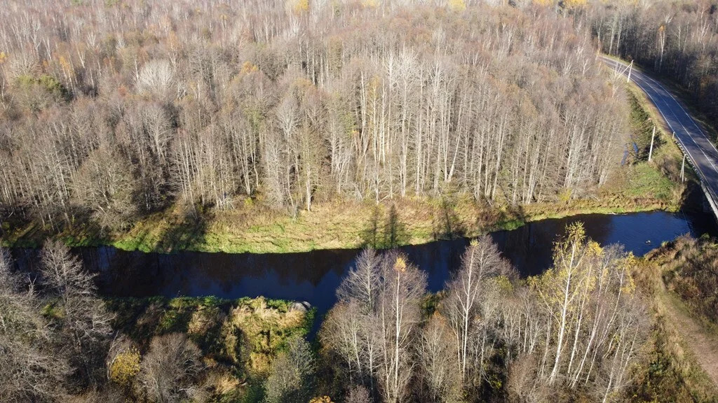 Продажа участка, Барышево, Выборгский район - Фото 7