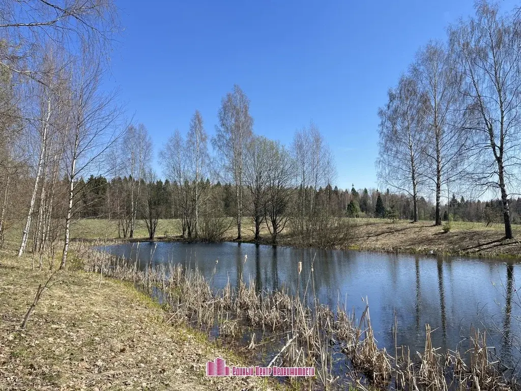 Участок 50 сот. , д. Боброво (Дмитровский район) - Фото 3