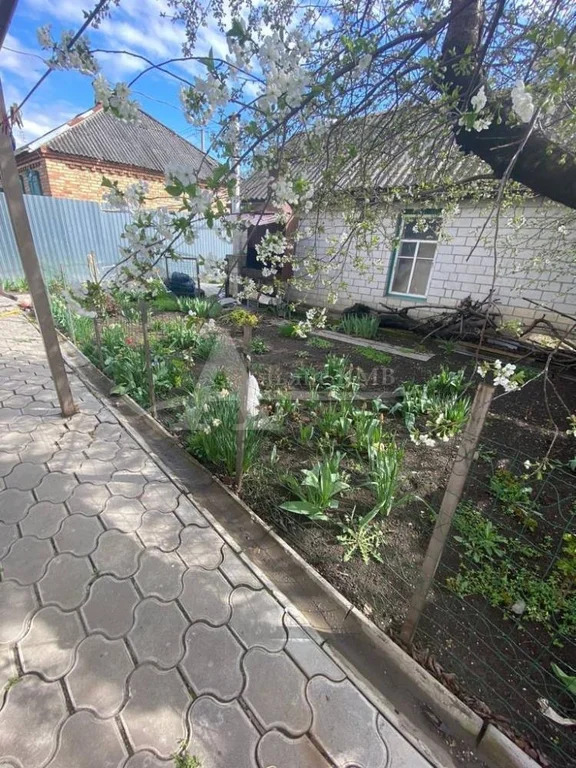 Продажа дома, Минеральные Воды, Крайнего ул. - Фото 12