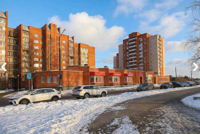 Продажа торгового помещения, Сосновый Бор, ул. Ленинградская - Фото 4
