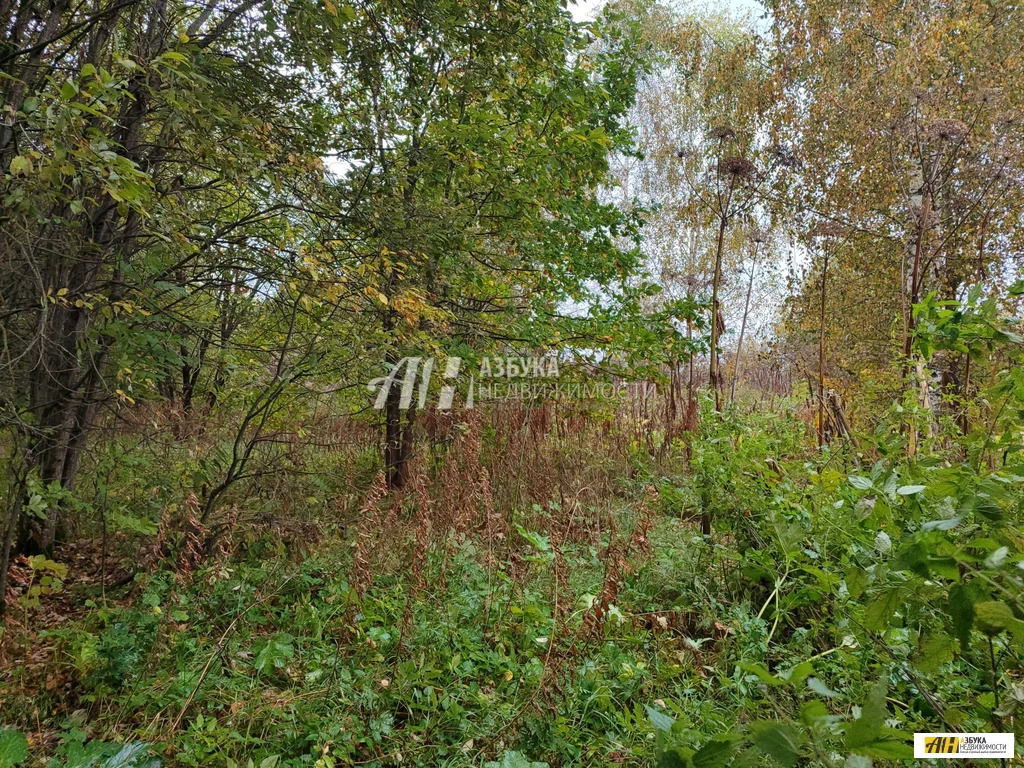 Продажа участка, Горетово, Можайский район, Бестужевская улица - Фото 1