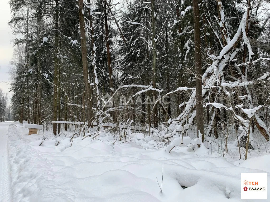 Продажа участка, Сазонки, Дмитровский район - Фото 0