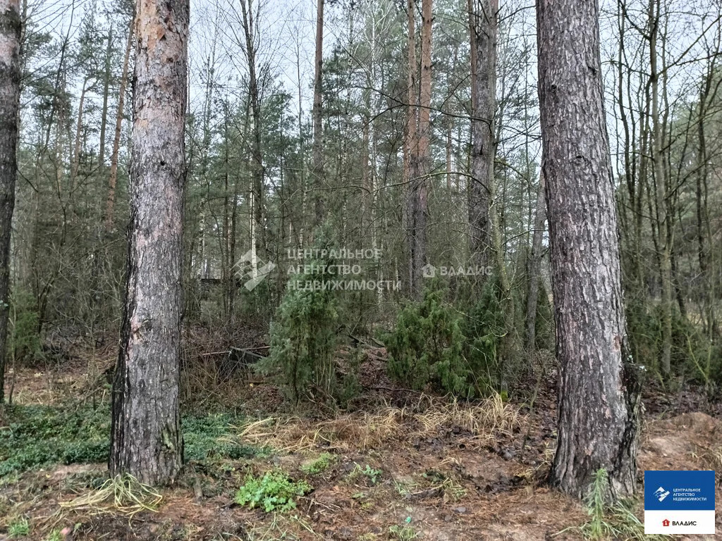 Продажа участка, Алеканово, Рязанский район - Фото 4