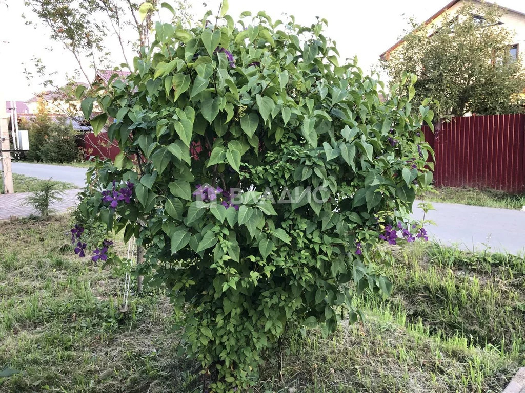 Троицкий административный округ, деревня Кузнецово,  дом на продажу - Фото 5