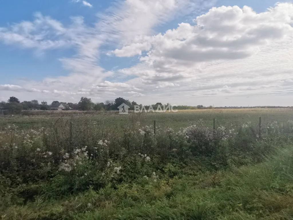 Суздальский район, село Менчаково, Центральная улица,  дом на продажу - Фото 37