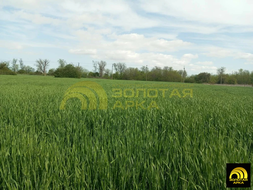 Продажа участка, Южный Склон, Темрюкский район - Фото 1