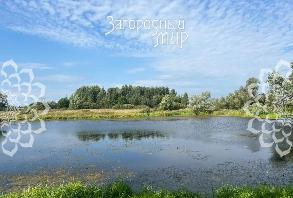Продам участок, Рогачевское шоссе, 70 км от МКАД - Фото 7