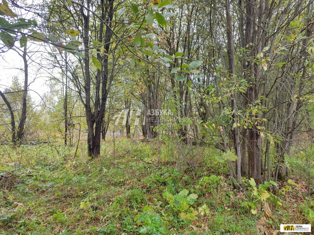 Продажа участка, Горетово, Можайский район, Бестужевская улица - Фото 12