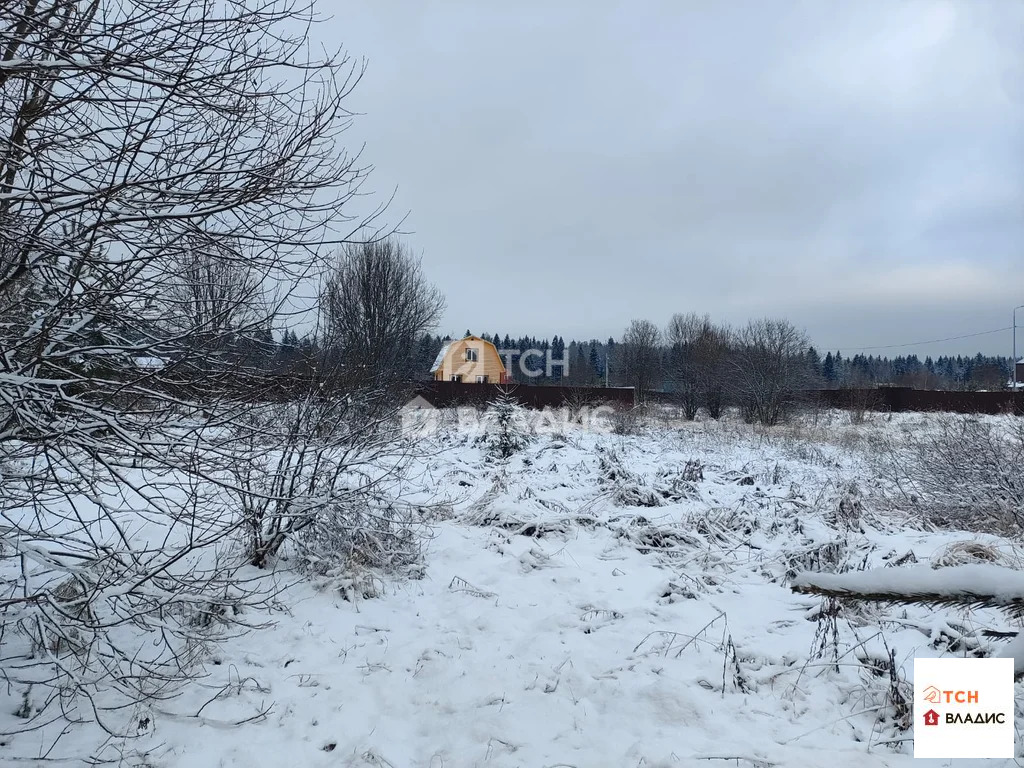 городской округ Щёлково, деревня Новопареево, 1-я Амеревская улица,  ... - Фото 2