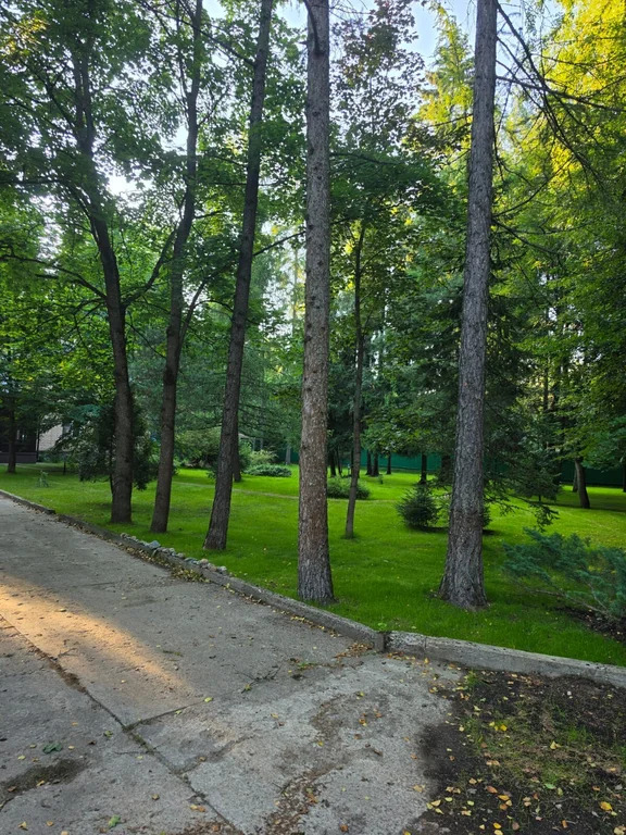 Продажа дома, Трудовая, Мытищинский район, Садовый проезд - Фото 7