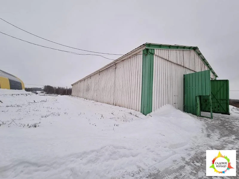 На трассе М 4 сдаются чистые, сухие неотапливаемые склады (ангары), пл - Фото 2