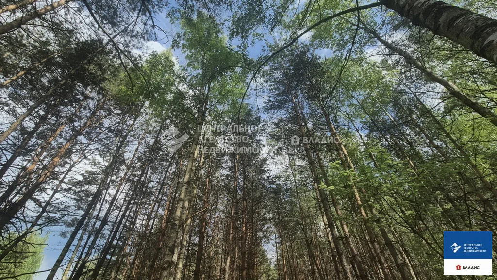 Продажа дома, Ерохино, Клепиковский район - Фото 20