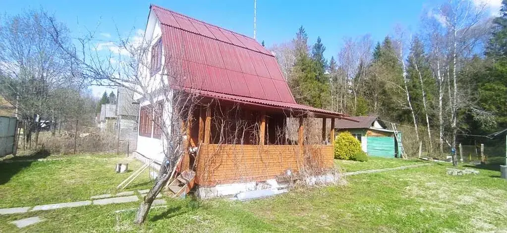 Участок с выходом в лес - Фото 6