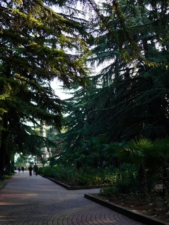 Апартаменты в Крыму, Алушта. У моря премиум класс с панорамным видом - Фото 20