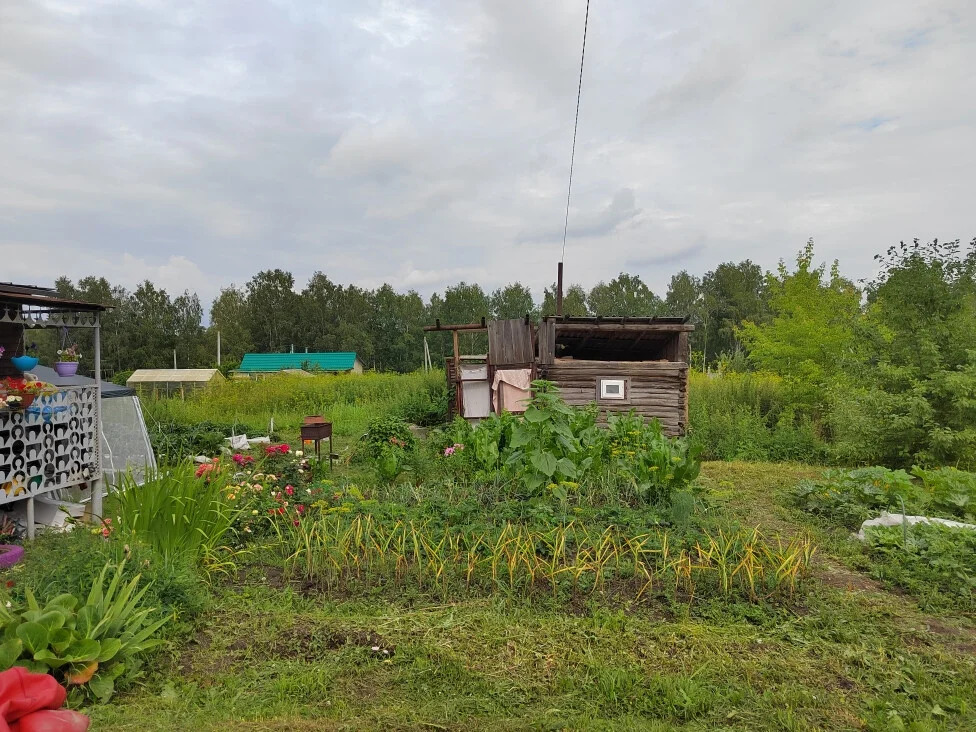 Продажа дома, Сосновка, Новосибирский район, ул. Северная - Фото 18