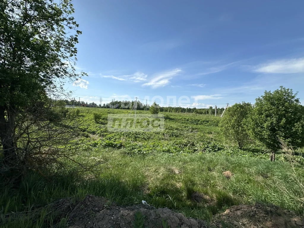 Продажа участка, Ивановка, Ленинский район - Фото 3