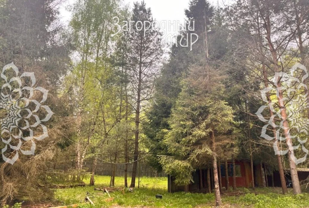 Продам участок, Новорижское шоссе, 25 км от МКАД - Фото 3