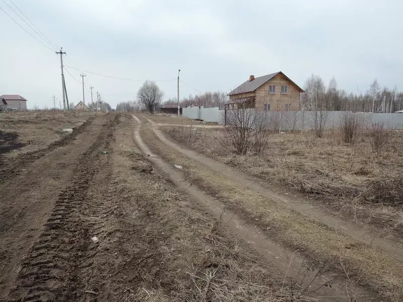 Деревня Данилово Павлово Посадский район