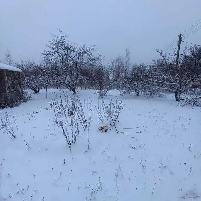 Продается дача Клинский район, д. Спасское, СНТ «Содружество» - Фото 41