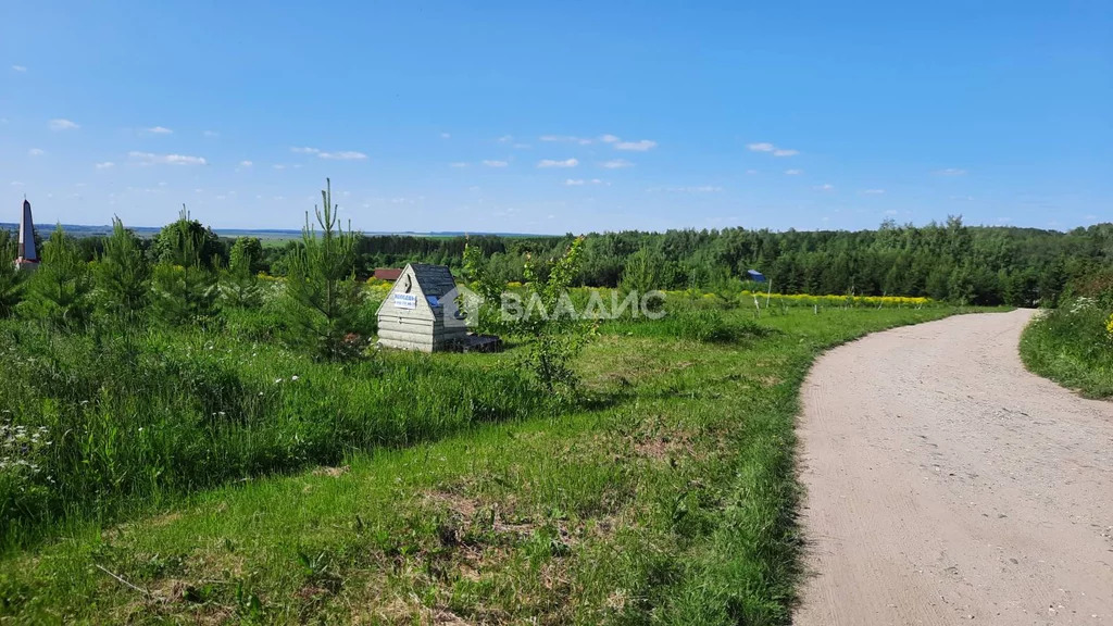 Юрьев-Польский район, село Кумино, земля на продажу - Фото 5