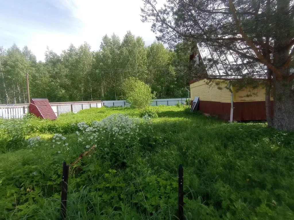 Дача 74,8 м2 на участке 6 сот. - Фото 14