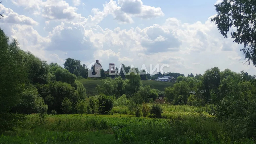 Суздальский район, село Новгородское, Светлая улица,  земля на продажу - Фото 14