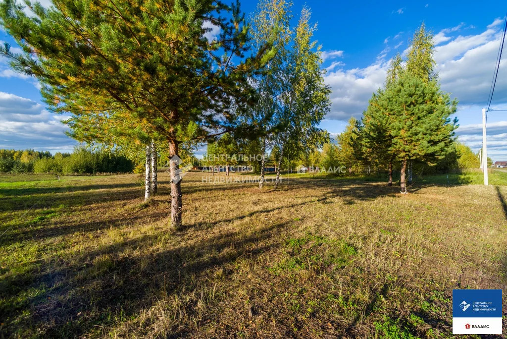Продажа участка, Рязанский район - Фото 12