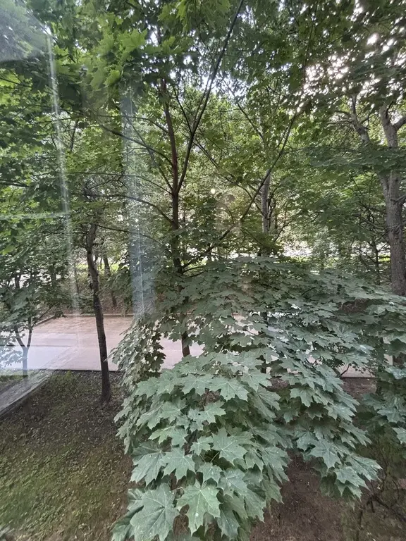 Продаю 2к.кв на Каширском ш. - Фото 8
