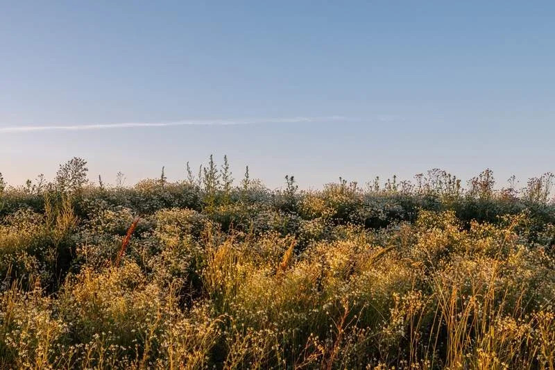 Продажа офиса 44.4 м2 - Фото 11