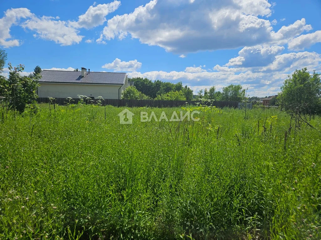 городской округ Пушкинский, село Ельдигино, микрорайон Новое ... - Фото 3