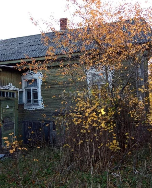 Дом в белозерском районе вологодской. Белозерский район Вологодская область д Орлово. Деревня Орлово Вологодская область Белозерский район. Зубово Белозерский район. Дома дачи Белозерский.