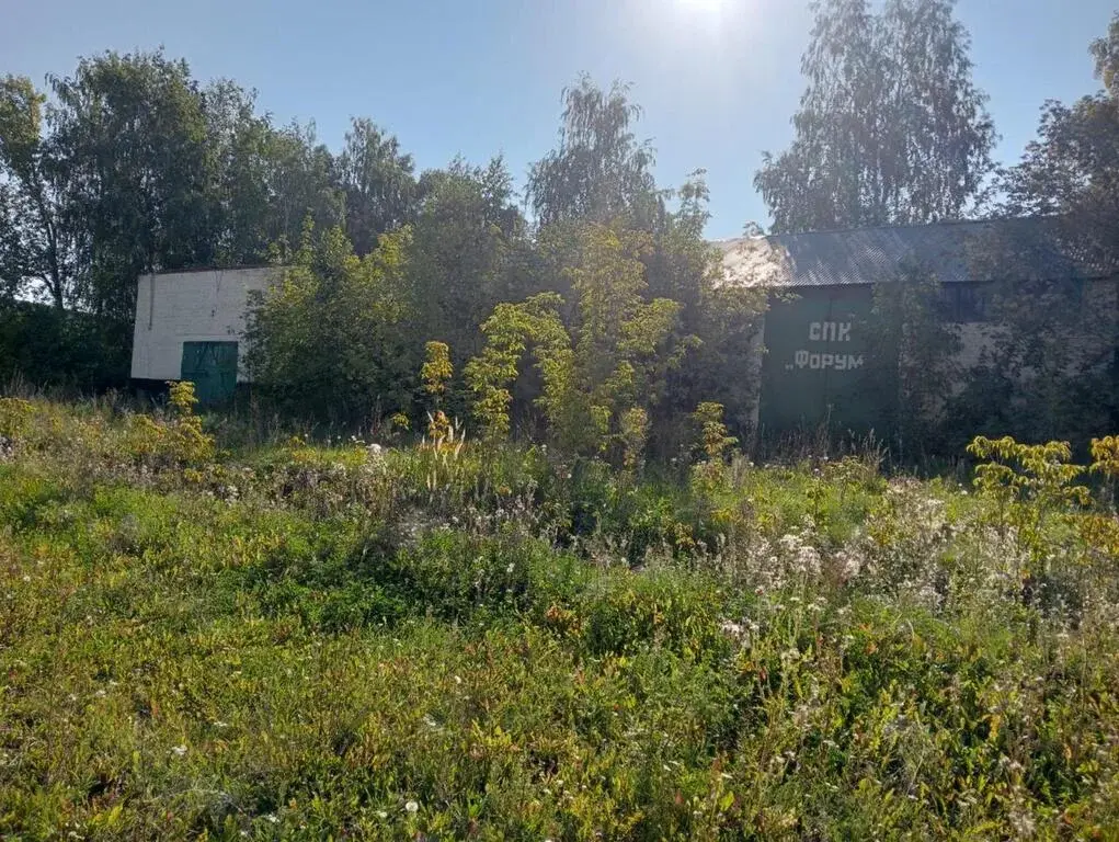 Здание и земельный участок - Фото 6